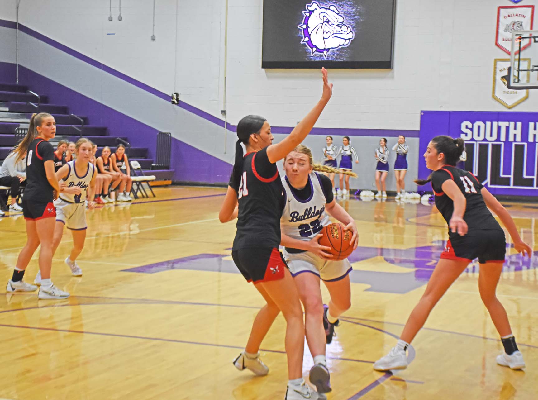 girls basketball crop