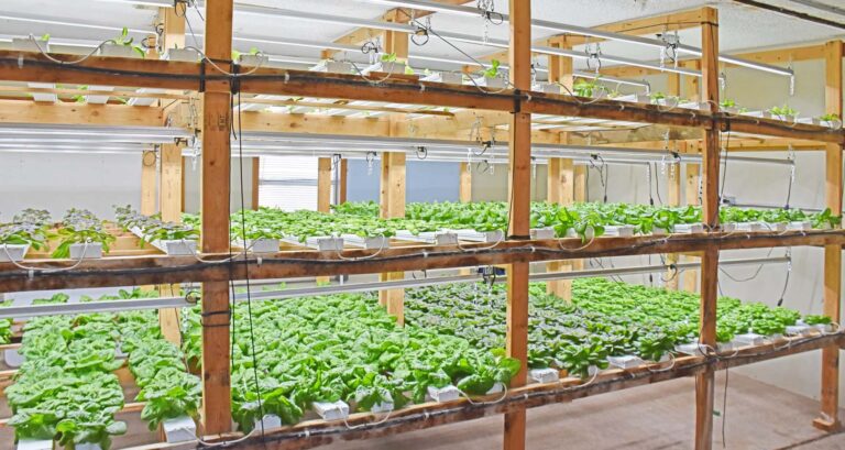 tilting windmill farms copy