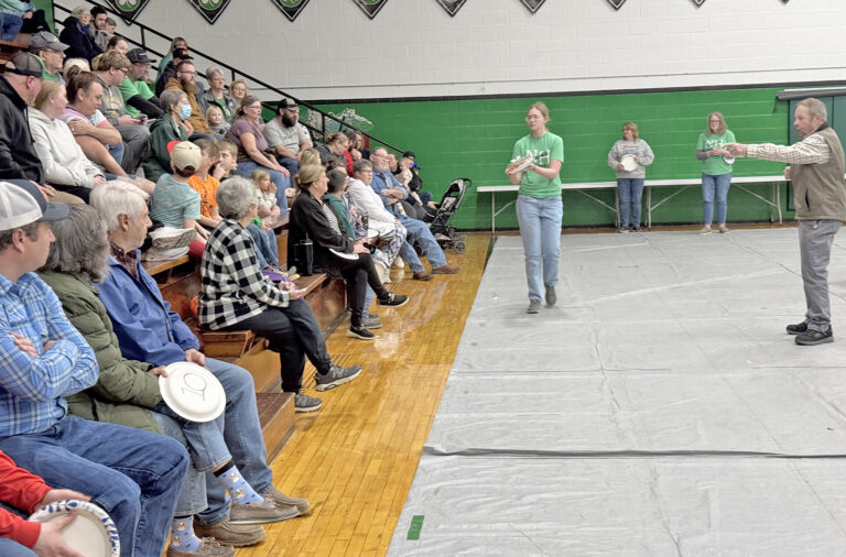 Pie auction processed