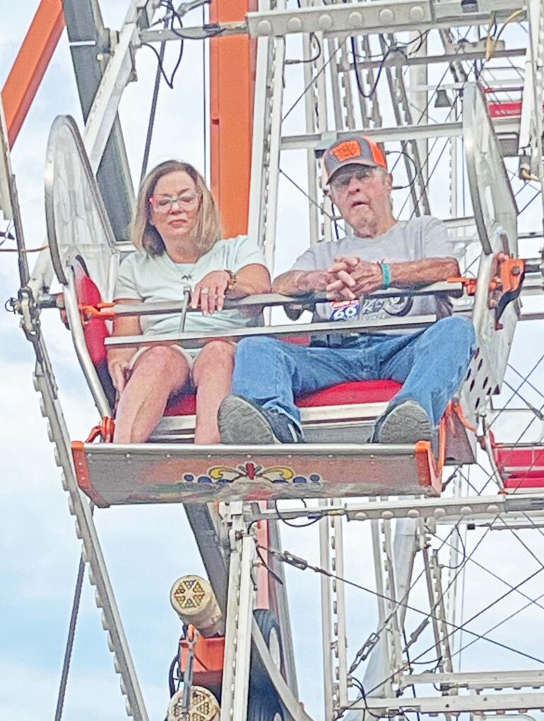 ferris wheel 2025 copy