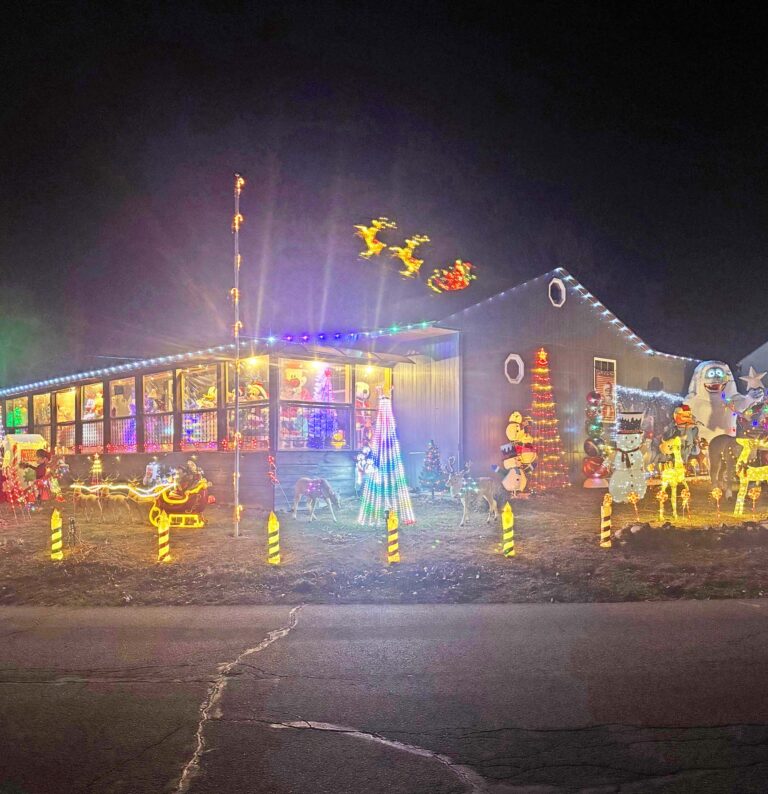 houyse lights 3 copy