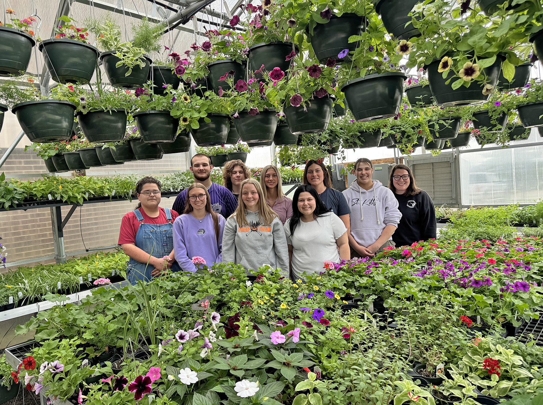 Greenhouse