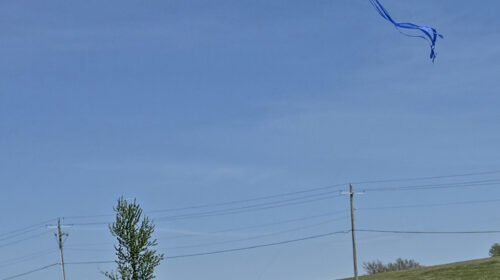 Kite flying, processed