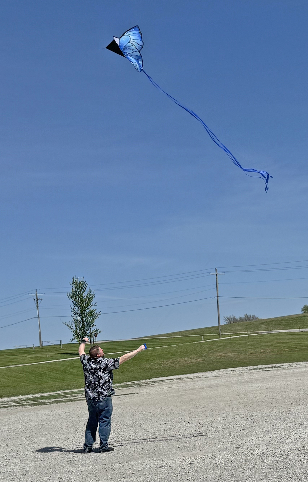 Kite flying, processed