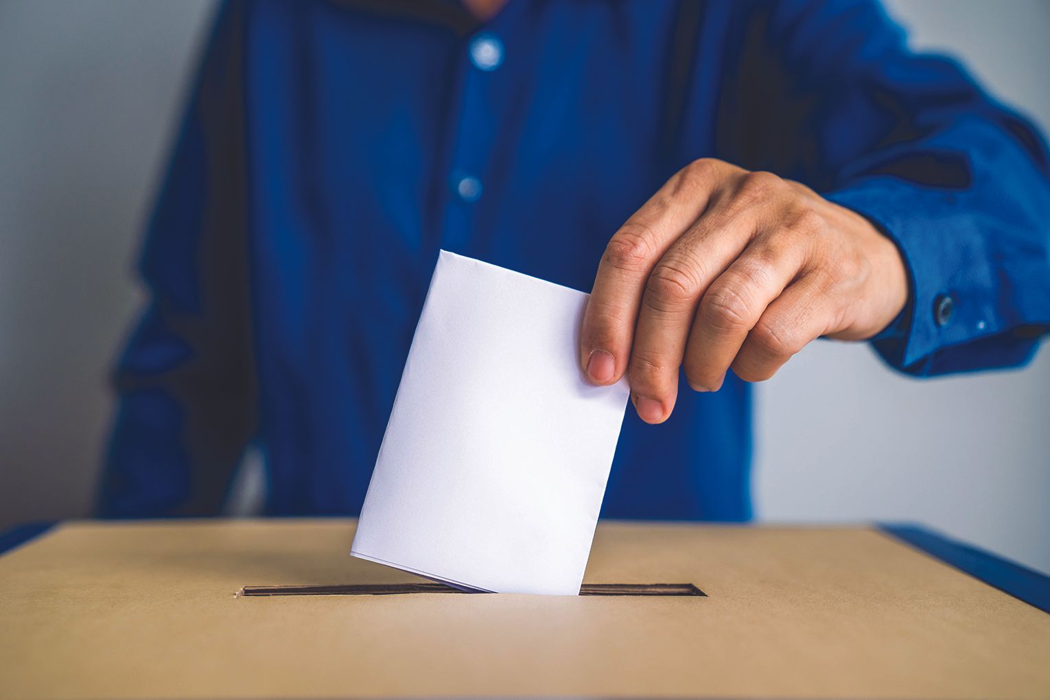 vote