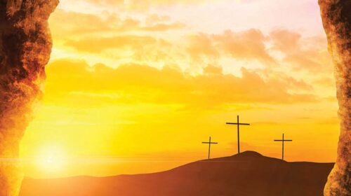 Cross-d