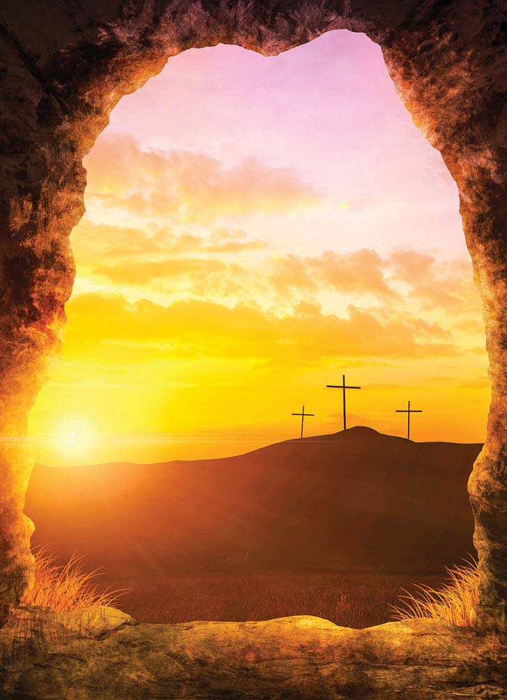 Cross-d