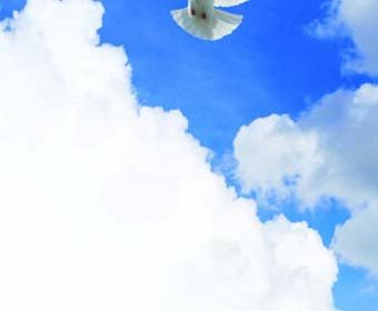 Sky-13-840x780-1
