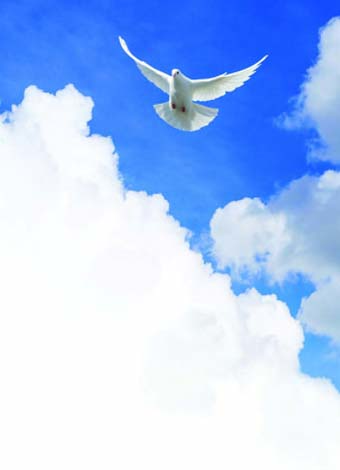 Sky-13-840x780-1