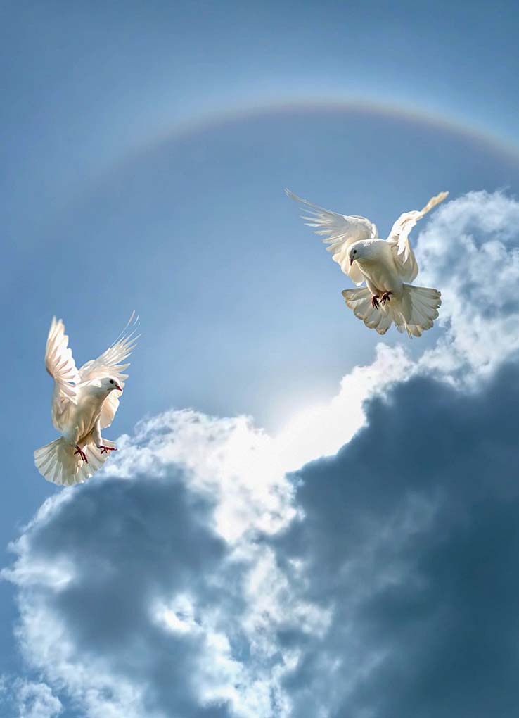 Sky-o
