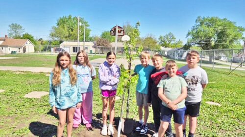 arbor day copy