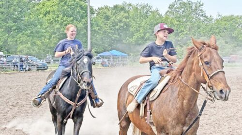 horse copy