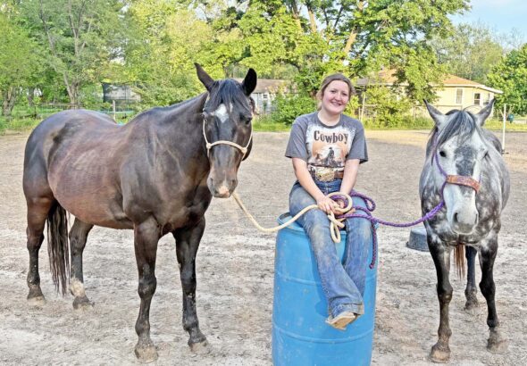 horse copy