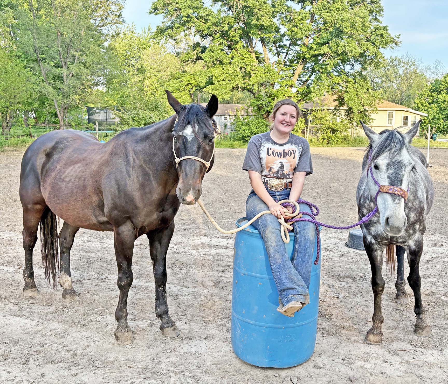 horse copy