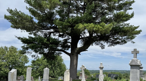 Cemetery overview, processed