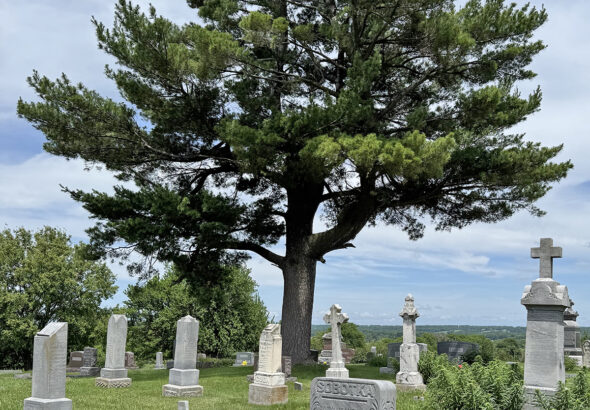 Cemetery overview, processed