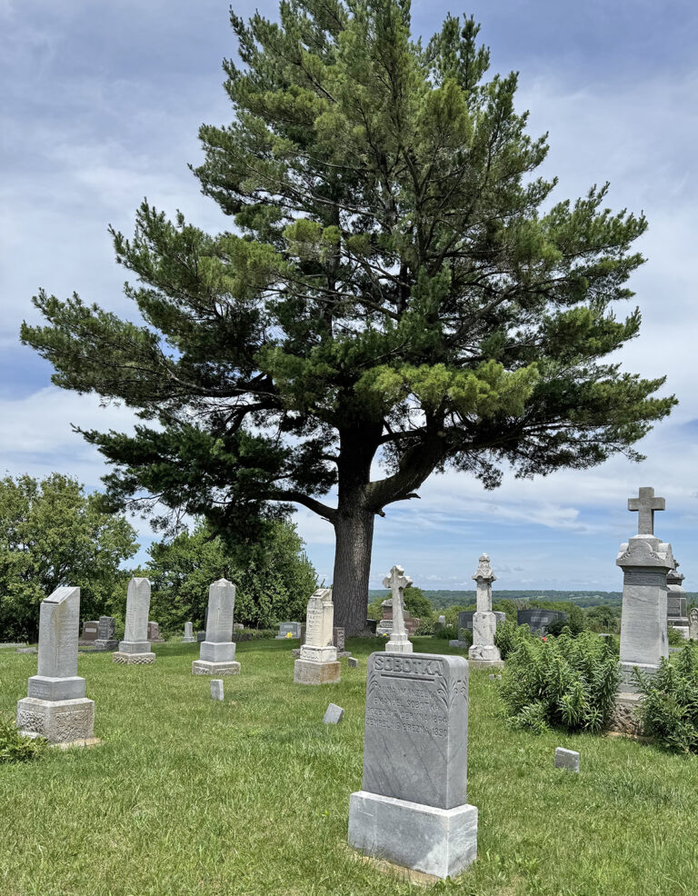 Cemetery overview, processed