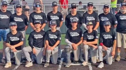 Junior Little League, processed