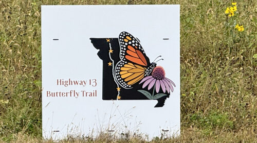 Butterfly trail processed