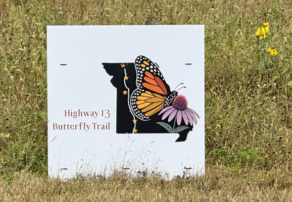 Butterfly trail processed