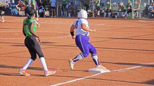 softball copy