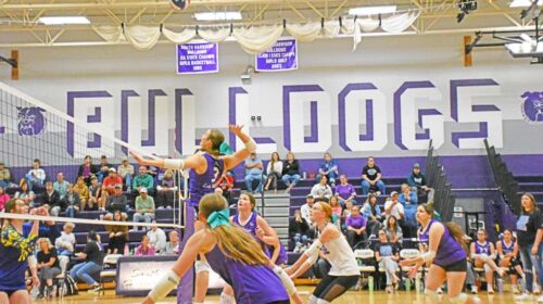volleyball copy