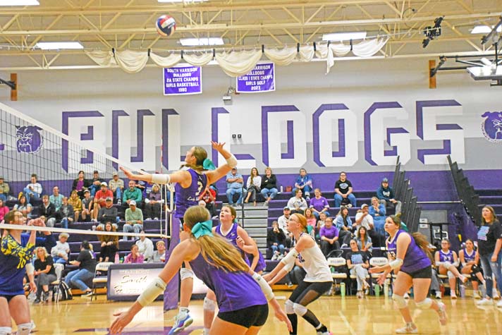 volleyball copy