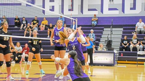 volleyball copy