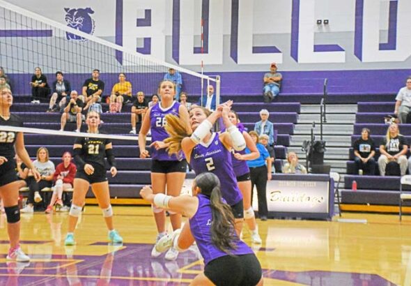 volleyball copy