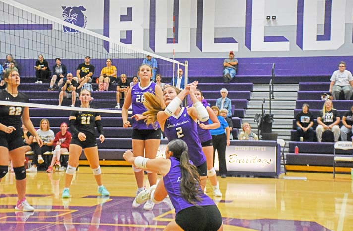 volleyball copy