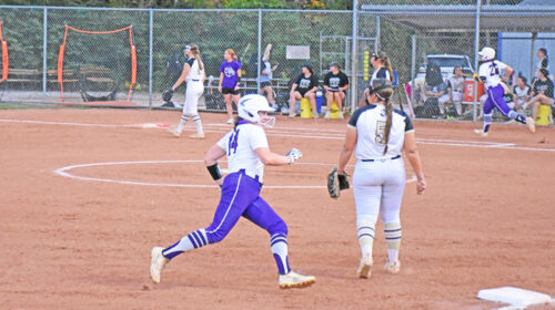 softball copy