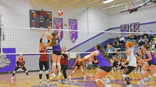 volleyball copy