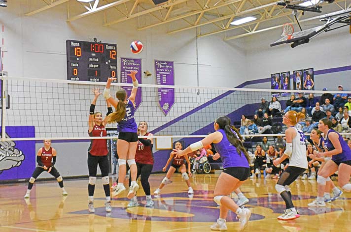 volleyball copy