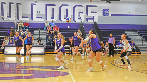 volleyball copy