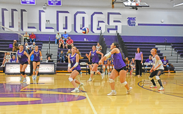 volleyball copy